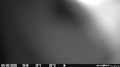 Camera image at 19:19 PST