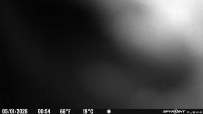 Camera image at 00:54 PST