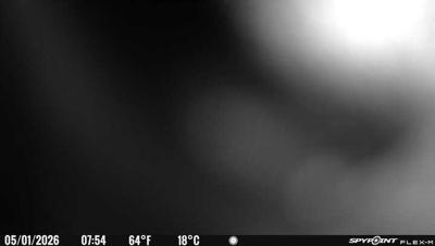 Camera image at 07:54 PST