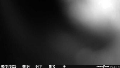 Camera image at 08:54 PST