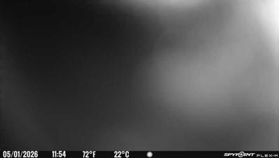 Camera image at 11:54 PST