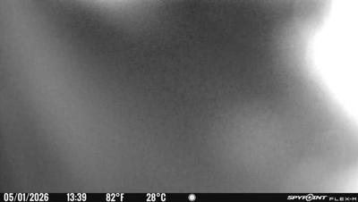 Camera image at 13:39 PST