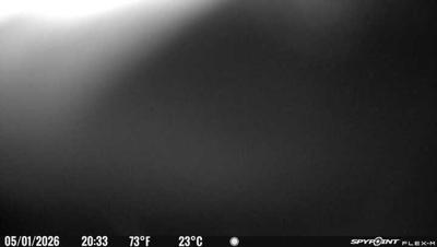Camera image at 20:33 PST