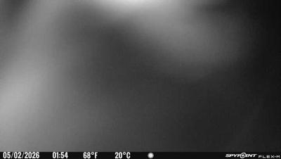 Camera image at 01:54 PST