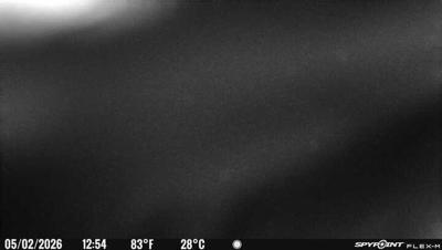 Camera image at 12:54 PST