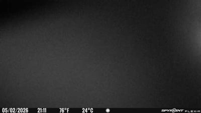 Camera image at 21:11 PST