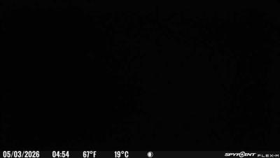 Camera image at 04:54 PST
