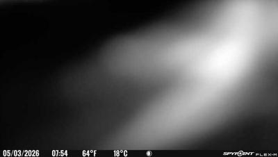 Camera image at 07:54 PST