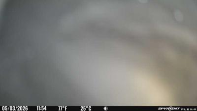 Camera image at 11:54 PST