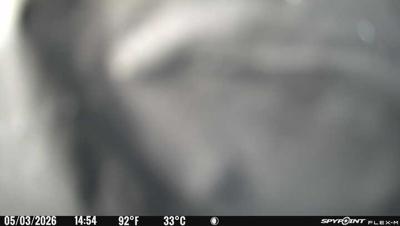 Camera image at 14:54 PST