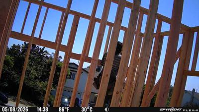 Camera image at 14:38 PST