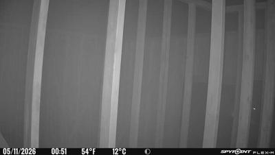 Camera image at 00:51 PST