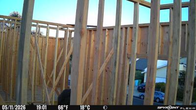 Camera image at 19:01 PST