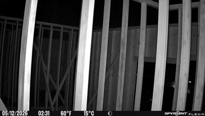 Camera image at 02:31 PST