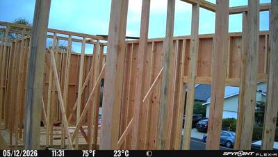 Camera image at 11:31 PST
