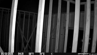 Camera image at 04:31 PST
