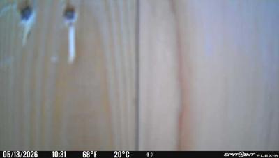 Camera image at 10:31 PST