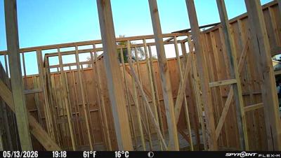 Camera image at 19:18 PST