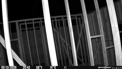 Camera image at 20:42 PST